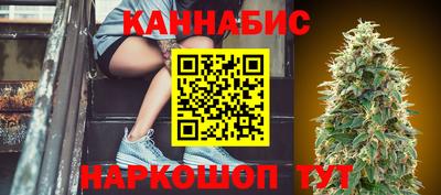 mdpv Краснознаменск