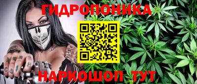 прущие грибы Краснодар