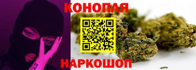 mdpv Краснознаменск