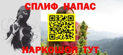 прущие грибы Краснодар