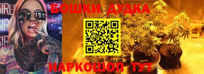 прущие грибы Краснодар