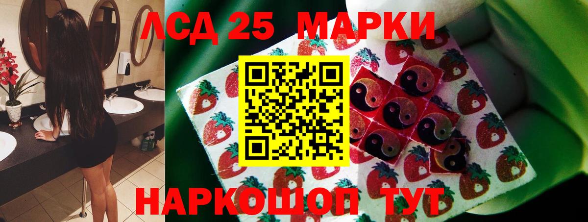 Электрогорск  гидра маркетплейс  ЛСД экстази ecstasy  Вход с VPN  ЛСД экстази кислота 